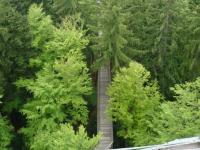 Stezka v korunách stromů, Bavorský les